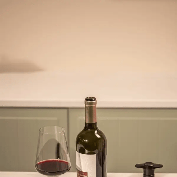 Wine Saver Black + 2 Stoppers