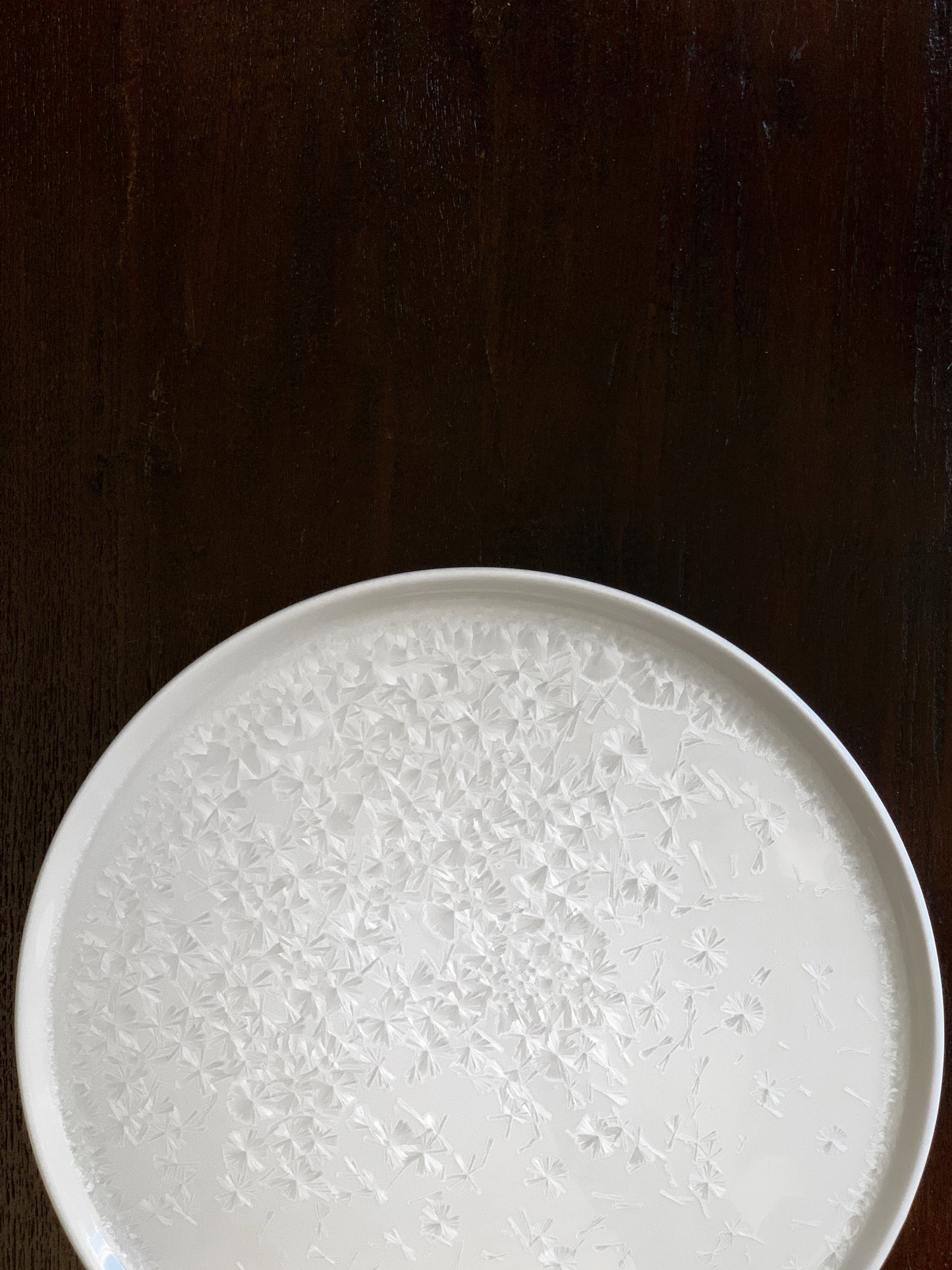 Glacier 10" Rimmed Flat Plate