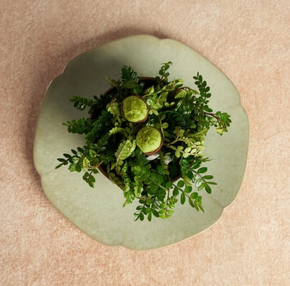 [BO] Bloom Eva 25cm Dinner Plate
