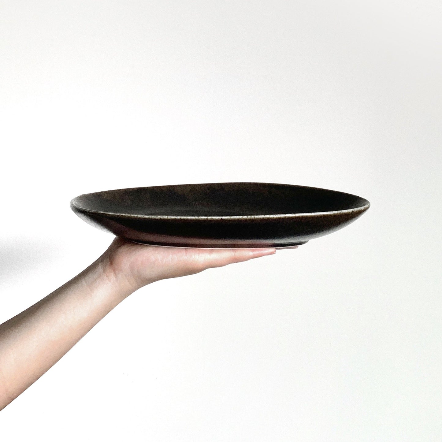 Natón Nordic Dinnerware Collection - Asymmetrical Fish Plate in Black
